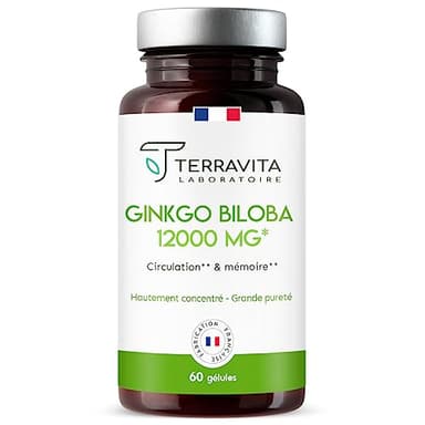 GINKGO BILOBA 12000 mg | Extrait 50:1 Hautement Dosé 6000 mg par Gélule | Booster Mémoire - Concentration - Acouphènes - Circulation Sanguine | 60 Gélules Vegan | Made in France | Terravita