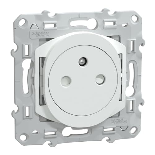 Schneider Electric - Ovalis - prise de courant 2P+T 16A affleurante - bornes automatiques - Blanc - S320052