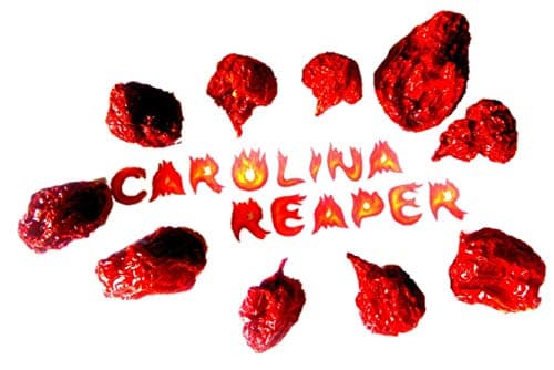 Amazseb Carolina Reaper Piment Entier Séché Sec - Piments Le Plus Fort Du Monde, 10 Unité (Lot De 1)