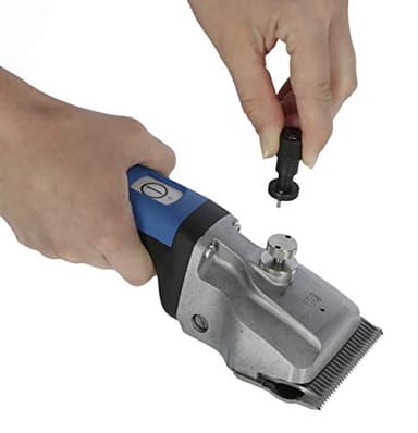 Aesculap Bonum Tondeuse pour Animaux de Compagnie avec Torqui, Cheval/Vachette Batterie Tondeuse