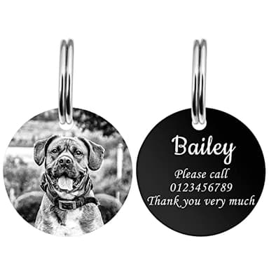 YEHANTI Médailles pour chien et chat en acier inoxydable avec photo gravée double face, L
