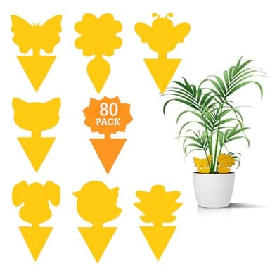 80 Pcs Attrape Moucheron Plantes, Luttent Contre Les moustiques fongiques, pour Les Insectes intérieurs et extérieurs, Imperméables et Non Toxiques