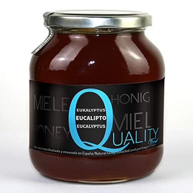 Miel d'abeille pur 100%. Miel brut. 1 Kg. Produit en Espagne. Non pasteurisé et non chauffé. Artisan de haute qualité. Bocal en verre. Grande variété de saveurs exquises. (Eucalyptus)