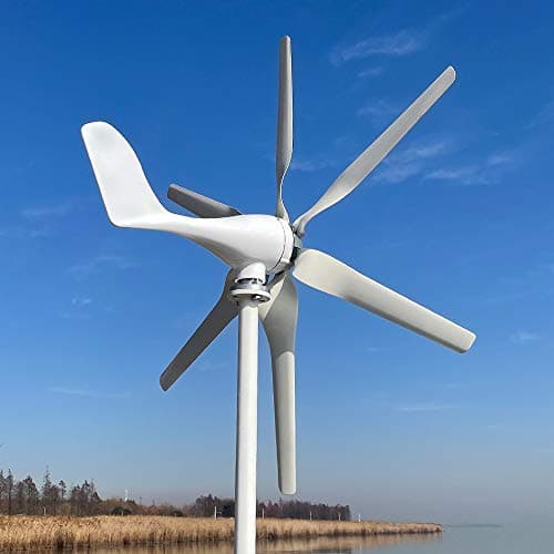 Turbine éolienne de 800W 12V 24V 48V éolienne avec régulateur MPPT 6 pales éolienne domestique à énergie libre à haut rendement (48V avec contrôleur)