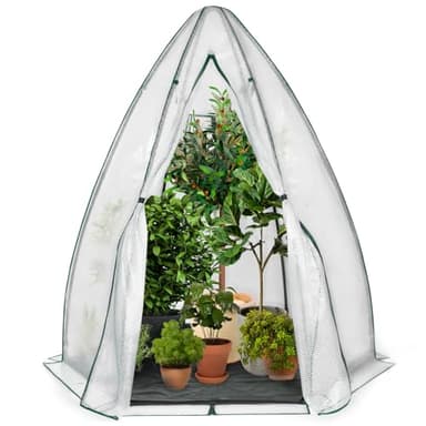 IDMarket - Serre d'hivernage dôme 160 x 160 x 180 cm Balcon et terrasse