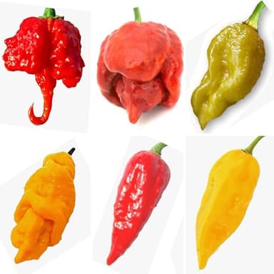 60 Graines des 6 PIMENTS les Plus FORTS du MONDE, Coll. 6 + Guide de Culture : CAROLINA REAPER RED, MORUGA SCORPION CARAMEL, JAY ORANGE GHOST SCORPION, MUSTARD BHUTLAH, HABALOKIA RED, HABANERO FATALII