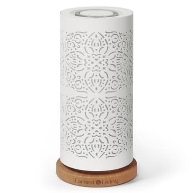 Earnest Living Diffuseur sans eau pour huiles essentielles - Système de diffusion nébulisante de 100 ml - Diffuseur d'aromathérapie en métal - Humidificateur à brume froide - Machine de parfum pour