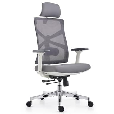 HOLLUDLE Chaise de Bureau Ergonomique avec Dossier Adaptable, Fauteuil D'ordinateur avec Accoudoirs 4D, Profondeur D'assise Réglable, Soutien Lombaire et Appui-tête 2D, Siège de Travail, Blanc