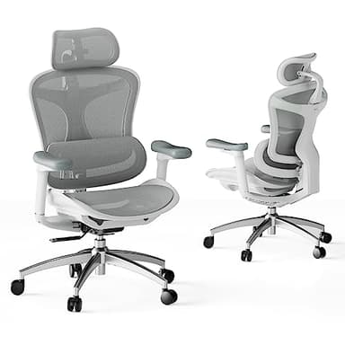 SIHOO Doro C300 Chaise de Bureau Ergonomique avec Accoudoirs Ultra Doux en 3D, Soutien Lombaire Dynamique pour Chaise Bureau à Domicile, Fauteuil de Bureau avec Dossier réglable(Blanc)
