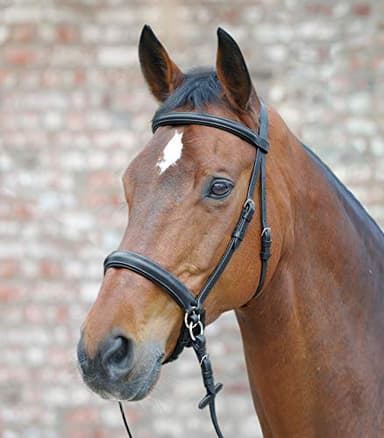 Equipride Bride en cuir sans morsure avec rênes souples - COB - Poney (plein)