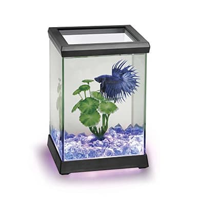 Ocean Free AT619AVerre Kit Betta Space LED, Noir