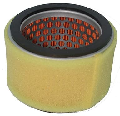 Greenstar 5610 Filtre à air pour Kubota