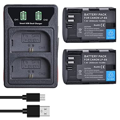 DuraPro 2 batteries LP-E6 + LED Chargeur USB intégré avec port de type C pour Canon LP-E6, LP-E6N et Canon EOS 5D Mark II/III, 5DS, 5DS R, 6D, 7D, 70D, 80D, XC10, Blackmagic 4K/6K