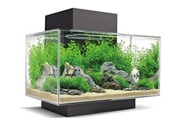Fluval 15034 Verre Edge 2.0 23l Aquarium Set, Poisson, Noir