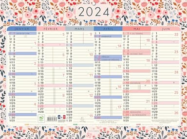 Exacompta - 34253E - Calendrier Mini Labo avec décor recto-verso - 43 x 33,5 cm - Semestriel 2025 - Visuel aléatoire
