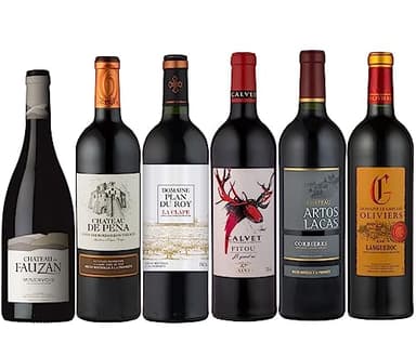 Calvet - Coffret Cadeau - Assorti Dégustation - Assortiment de 6 vins rouges de nos domaines du Sud de la France (6 x 0,75L)