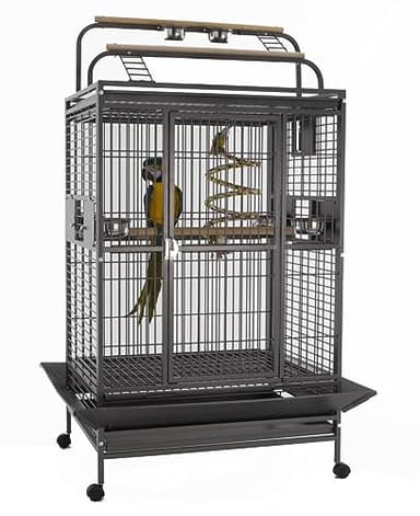 Sun Cages - Cage Perroquet Complète | Grande Cage à Oiseaux Idéale pour Moyens et Grands Perroquets | Mesures 91 x 71 x 171.5 cm | Poids 61 kg