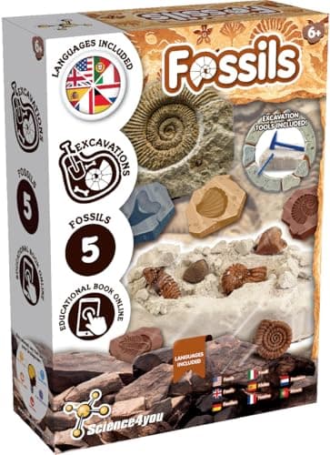 Science4you Kit Fouille de Fossiles pour Enfants – Apprenez à Connaître la Paléontologie, Kit d'Excavation, Découvrez les Fossiles Incroyables, Cadeau Paléontologique pour Garçons et Filles 6 7 8+ Ans