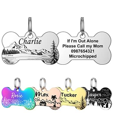 Medaille Chien et Chat avec Gravure personnalisée - YEHANTI Acier Inoxydable, Os Identification Prénom Adresse Tel avec motif (L, Argent)