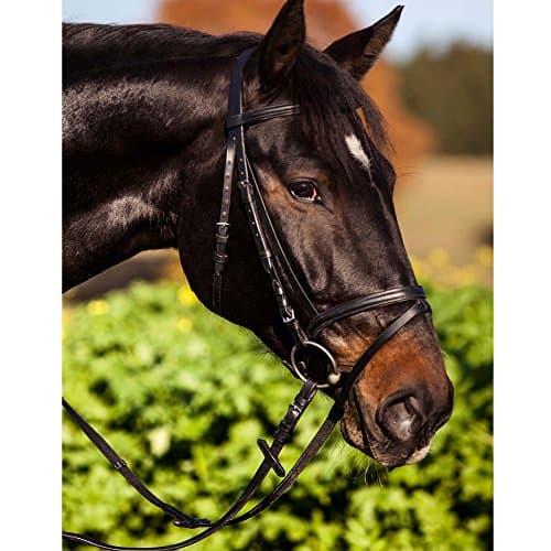 KERBL Bridon Standard pour Cheval de Selle Noir