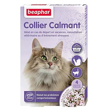BEAPHAR – NO Stress – Collier calmant à la Valériane pour Chat – Réduit Le Stress et Les problèmes comportementaux sans dépendance ni Somnolence – 1 Collier 35 cm – 4 semaines d'action