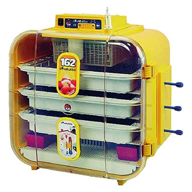 NOVITAL Couveuse Novital Covatutto 162 semi-automatique 162 oeufs