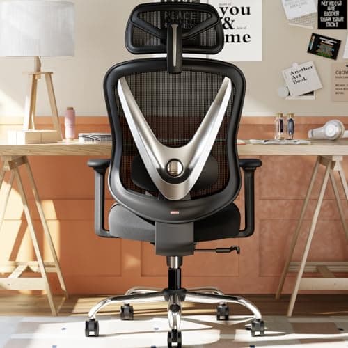 HOLLUDLE Chaise de Bureau Ergonomique avec Support Lombaire 3D & accoudoirs 3D réglables – Design en V du Dos, Fauteuil de Bureau Confortable pour Bureau et Maison, Noir