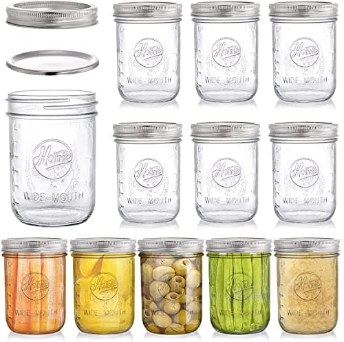 Tebery Lot de 12 Bocaux Maçon avec Bouchon à vis pour conserve, congélation, conservation, boissons et décoration de bocaux, 16 oz (470 ML)