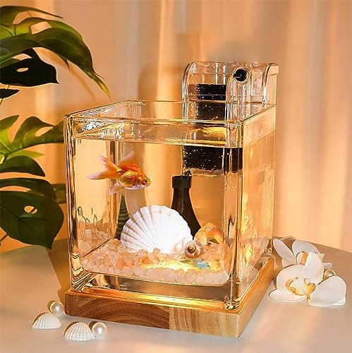 Kit aquarium de bureau de 3 litres - Petit verre pour enfants débutants - Bac à poisson Betta carré avec base en bois - Lumière LED - Pompe à eau - Accessoires - Filtre autonettoyant