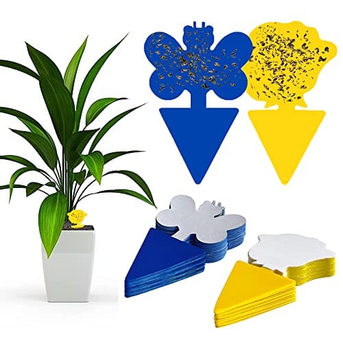 FANXIYA 48Pcs Pièges à Insectes pour Jardin, Jaune Anti Mouche Pièges Engluées Autocollants pour Moustiques, Attrape Insecte Interieur Exterieur pour Plante, Fleur& Fruits (Jaune et Bleu)