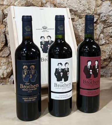 the Brothers - Coffret Découverte Grands Vins de Bordeaux - AOC Saint Emilion Grand Cru - Montagne Saint Emilion- Castillon