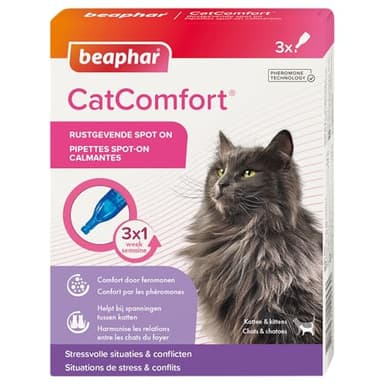 BEAPHAR – CATCOMFORT® – Pipettes calmantes aux phéromones pour Chat et Chaton – Réduit Le Stress et Les comportements Non désirés sans dépendance ni Somnolence pour l'animal – 3 pipettes