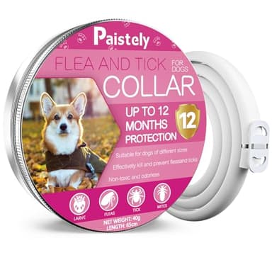 Collier Anti-puces pour Chien, Collier Anti-puces sûr et Efficace pour Chiens composé d'huiles essentielles Naturelles, efficacité 12 Mois Collier Anti-tiques pour Chiens (65cm) (40g)