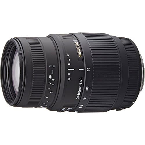 Sigma Objectif 70-300 mm F4-5,6 DG Macro - Monture Canon