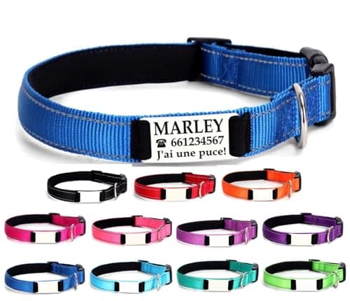Ibera gifts – Collier Chien Personnalisé et Réfléchissant – Collier Personnalisé Chien et Chat pour Chiots ou Très Petits Chiens – Gravure Durable (22-30 cm) (Bleu, S, Petit)