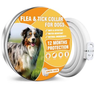 Collier Anti Puces pour Chien, 12 Mois De Protection Efficace, Colliers Anti-Puces pour Chiens 65cm, Réglable Et Étanche, Convient Aux Chiens De Toutes Tailles (1 Pack)