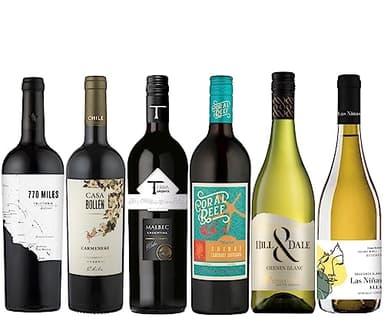 Assorti Dégustation - Assortiment de 6 vins rouges et blancs du Nouveau Monde - Argentine, Californie, Chili, Australie, Afrique du Sud (6 x 0,75L)
