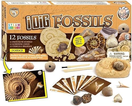 Kit De Fouilles Fossiles Kit éducatifs de Sciences Enfant Fossiles Jeu Fouilles et Decouvertes Archéologiques Paléontologue Enfant