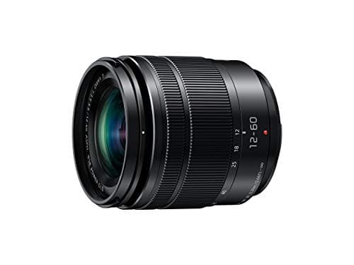 Panasonic Objectif 12-60 mm/F 3,5-5,6 LUMIX G VARIO POWER OIS ASPH 12 mm (renouvelé)